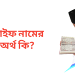 সাইফ নামের অর্থ কি | সাইফ নামের ছেলেরা কেমন হয়