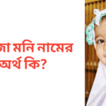 রোজা মনি নামের অর্থ কি | রোজা মনি নামের মেয়েরা কেমন হয়