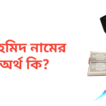 ফাহমিদ নামের অর্থ কি | ফাহমিদ নামের ছেলেরা কেমন হয়
