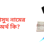 মাসুদ নামের অর্থ কি | মাসুদ নামের ছেলেরা কেমন হয়