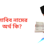 লাবিব নামের অর্থ কি | লাবিব নামের ছেলেরা কেমন হয়