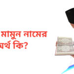 আল মামুন নামের অর্থ কি | আল মামুন নামের ছেলেরা কেমন হয়