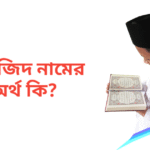 সানজিদ নামের অর্থ কি | সানজিদ নামের ছেলেরা কেমন হয়