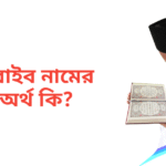 খুবাইব নামের অর্থ কি | খুবাইব নামের ছেলেরা কেমন হয়