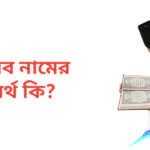 নীরব নামের অর্থ কি | নীরব নামের ছেলেরা কেমন হয়