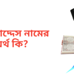 মোকাদ্দেস নামের অর্থ কি | মোকাদ্দেস নামের ছেলেরা কেমন হয়