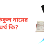 শফিকুল নামের অর্থ কি | শফিকুল নামের ছেলেরা কেমন হয়