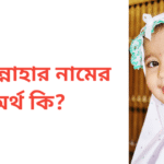 শামসুন্নাহার নামের অর্থ কি | শামসুন্নাহার নামের মেয়েরা কেমন হয়