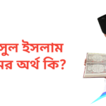 শামসুল ইসলাম নামের অর্থ কি | শামসুল ইসলাম নামের ছেলেরা কেমন হয়