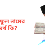 সাইফুল নামের অর্থ কি | সাইফুল নামের ছেলেরা কেমন হয়