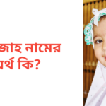 আইজাহ নামের অর্থ কি | আইজাহ নামের মেয়েরা কেমন হয়