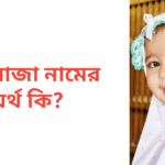 ফিরোজা নামের অর্থ কি | ফিরোজা নামের মেয়েরা কেমন হয়