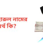 মাজহারুল নামের অর্থ কি | মাজহারুল নামের ছেলেরা কেমন হয়