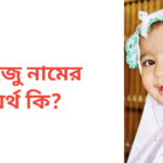 লাইজু নামের অর্থ কি | লাইজু নামের মেয়েরা কেমন হয়