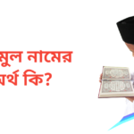 এনামুল নামের অর্থ কি | এনামুল নামের ছেলেরা কেমন হয়