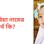জারিয়া নামের অর্থ কি | জারিয়া নামের মেয়েরা কেমন হয়