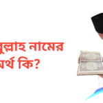 হাবিবুল্লাহ নামের অর্থ কি | হাবিবুল্লাহ নামের ছেলেরা কেমন হয়
