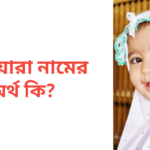 মনোয়ারা নামের অর্থ কি | মনোয়ারা নামের মেয়েরা কেমন হয়