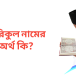 তরিকুল নামের অর্থ কি | তরিকুল নামের ছেলেরা কেমন হয়