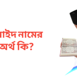 হুমাইদ নামের অর্থ কি | হুমাইদ নামের ছেলেরা কেমন হয়