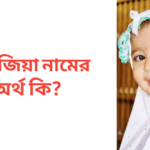 ওয়াজিয়া নামের অর্থ কি | ওয়াজিয়া নামের মেয়েরা কেমন হয়
