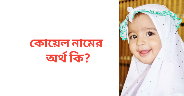 কোয়েল নামের অর্থ কি | কোয়েল নামের মেয়েরা কেমন হয়