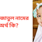 খাদিজাতুল নামের অর্থ কি | খাদিজাতুল নামের মেয়েরা কেমন হয়