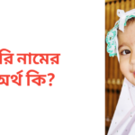নুরি নামের অর্থ কি | নুরি নামের মেয়েরা কেমন হয়