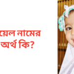 পায়েল নামের অর্থ কি | পায়েল নামের মেয়েরা কেমন হয়