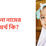 মিনা নামের অর্থ কি | মিনা নামের মেয়েরা কেমন হয়