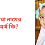 মেঘা নামের অর্থ কি | মেঘা নামের মেয়েরা কেমন হয়