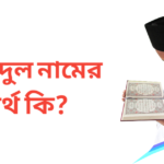 মাহমুদুল নামের অর্থ কি | মাহমুদুল নামের ছেলেরা কেমন হয়