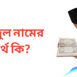 শহিদুল নামের অর্থ কি | শহিদুল নামের ছেলেরা কেমন হয়